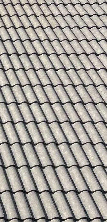 Betongpannor fria från lav, efter